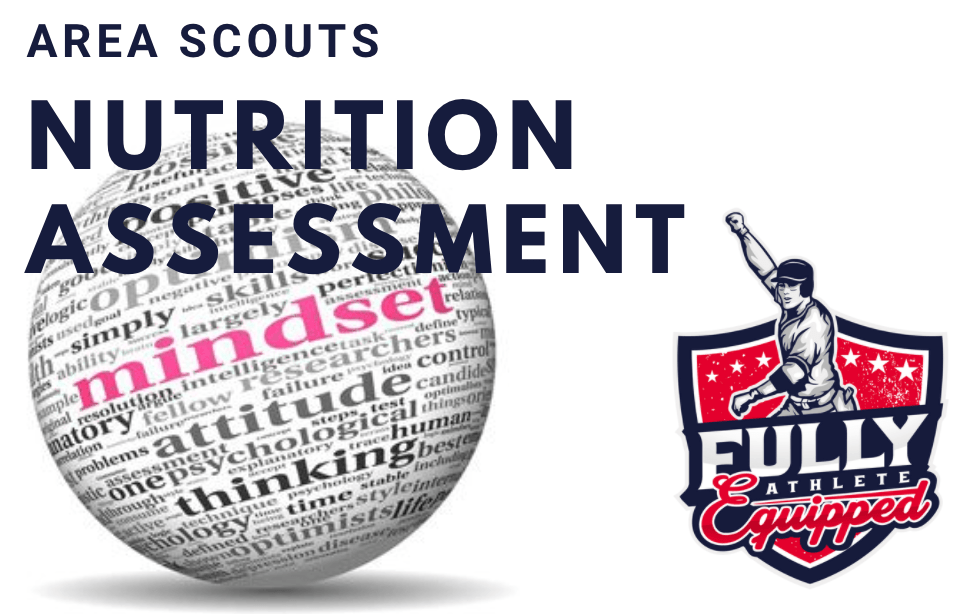 Area Scouts Mindset Assessment